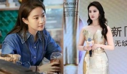 关于女星最新爆料的小说,揭秘女星背后的惊人真相